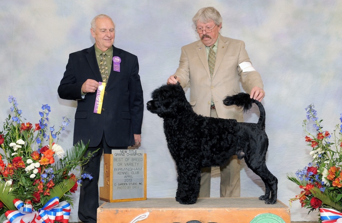  Grand Champion - April 2013 