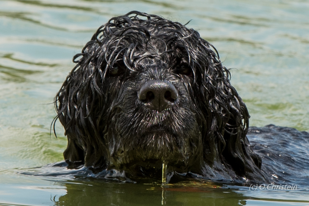  Ace MWD Run - 8/14/20 