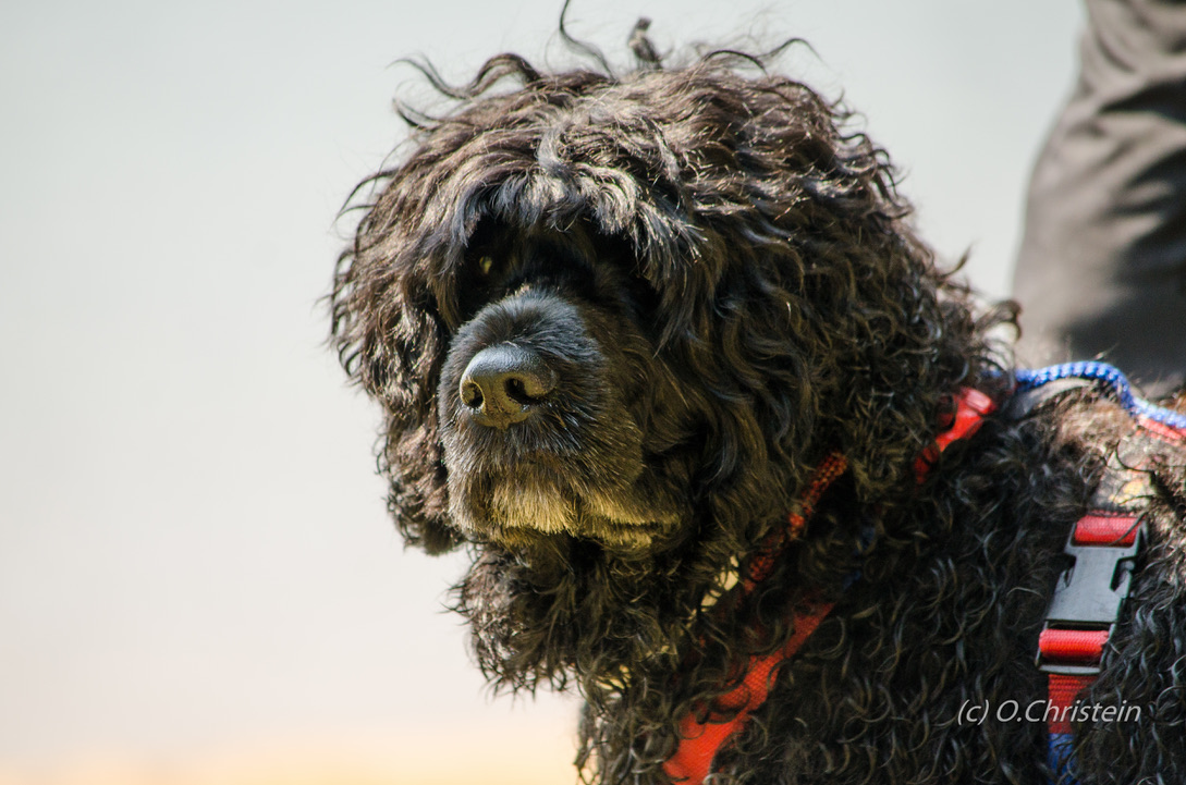  Ace - Tired  But Performing 10/20 