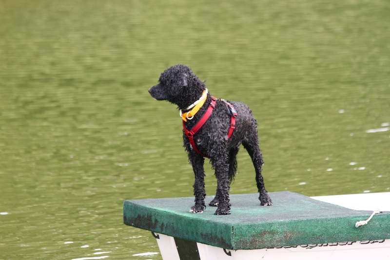  WWD in Raleigh - July 2012 