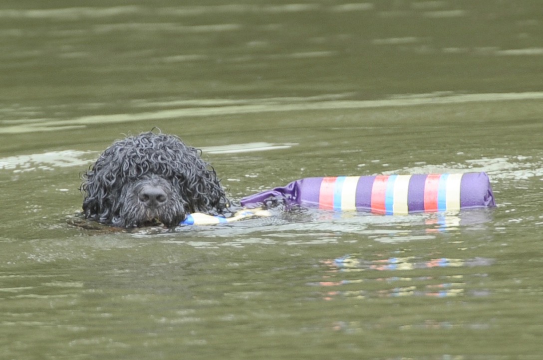  Double Directed Retrieve - July 2013 