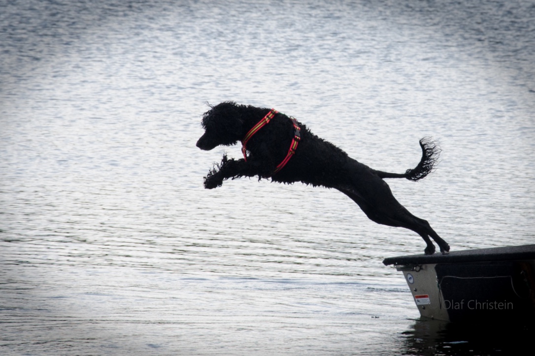  Bliss To You, My Little Reaganator 