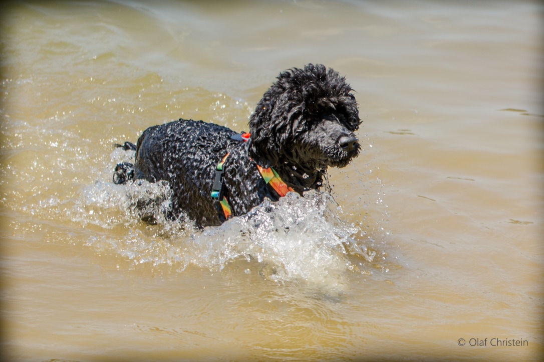  Frist Swim - June 2018 