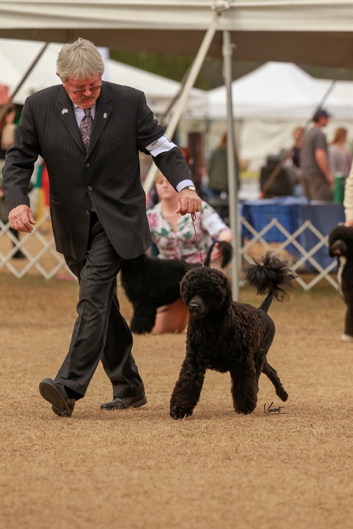 Brooksville, FL with CJ - January 2018 