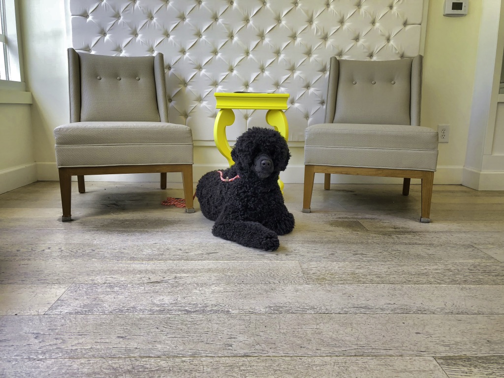  Shopping with Mom - July 2018 