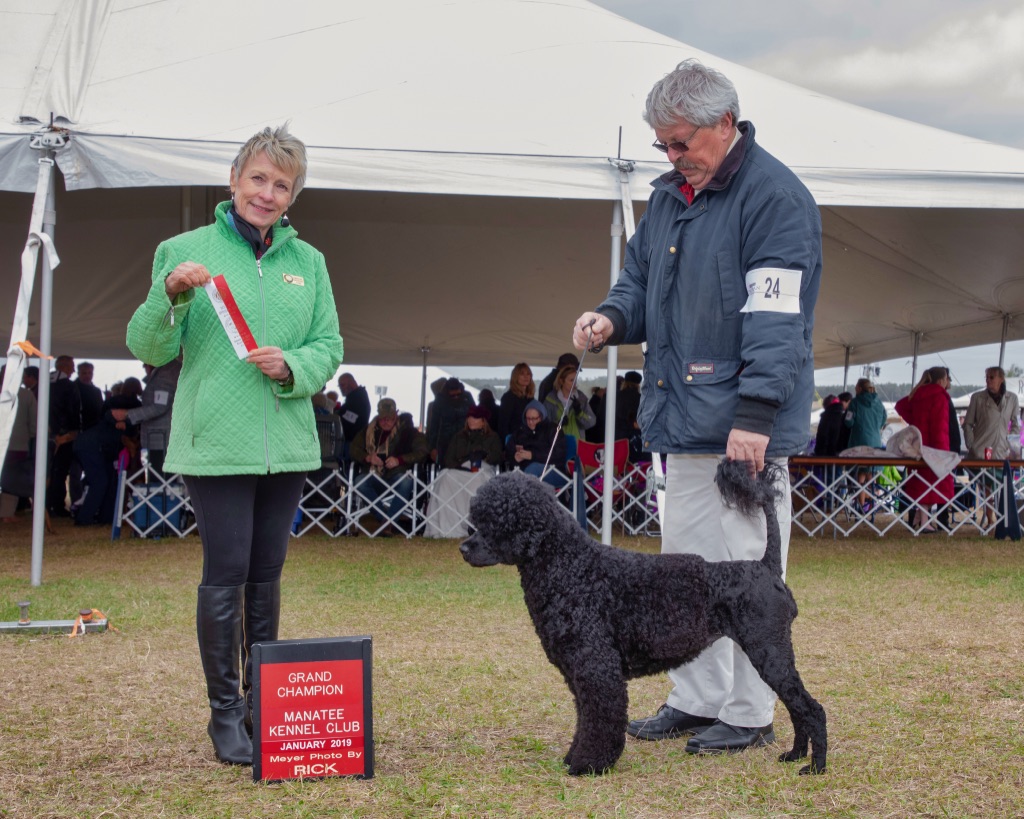  Grand Champion! January 2019 