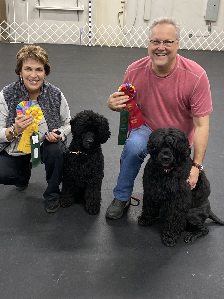  Ace & Scout Earning Rally Titles 12/15/19 