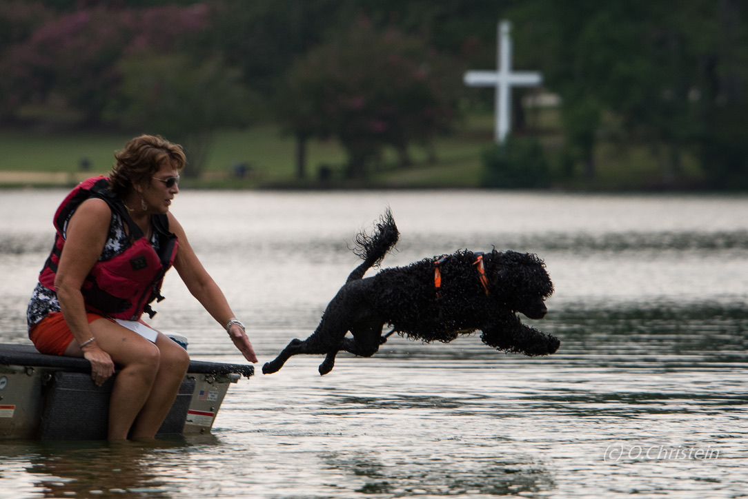  Scout's Courier Run - 8/15/20 